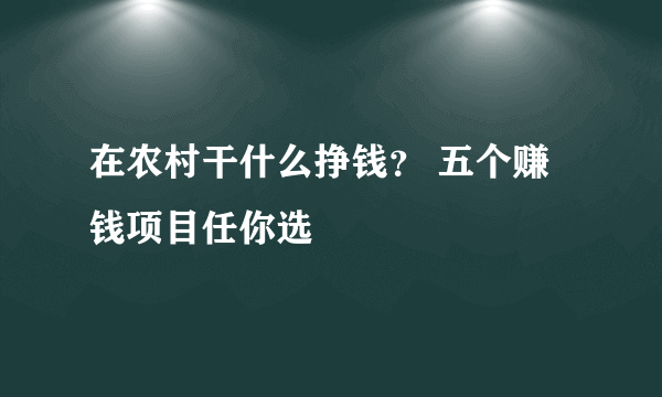 在农村干什么挣钱？ 五个赚钱项目任你选