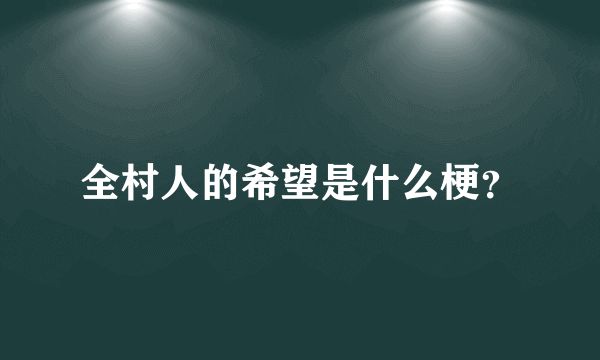 全村人的希望是什么梗？