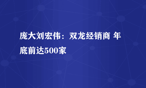 庞大刘宏伟：双龙经销商 年底前达500家