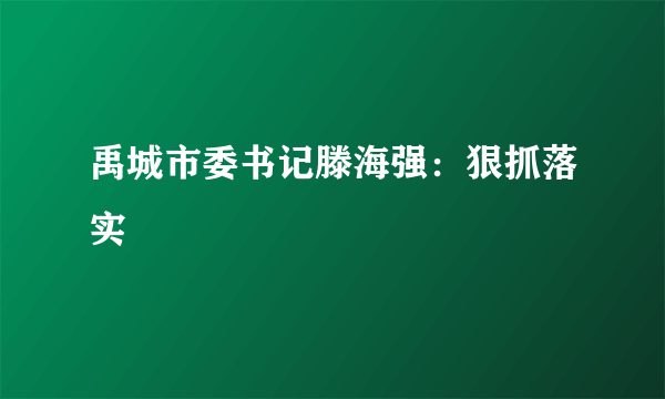 禹城市委书记滕海强：狠抓落实