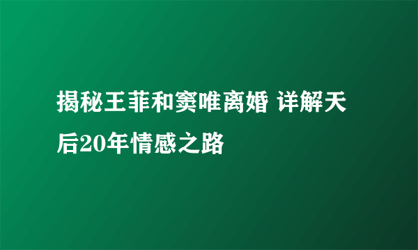 揭秘王菲和窦唯离婚 详解天后20年情感之路