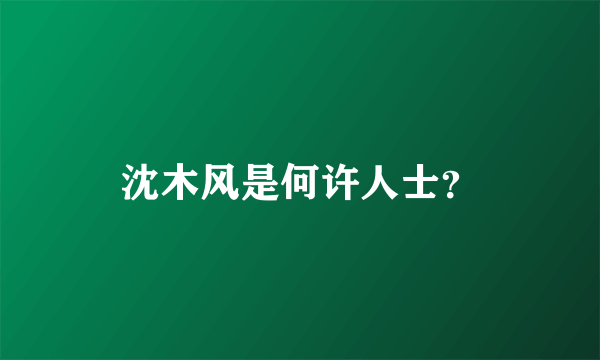 沈木风是何许人士？