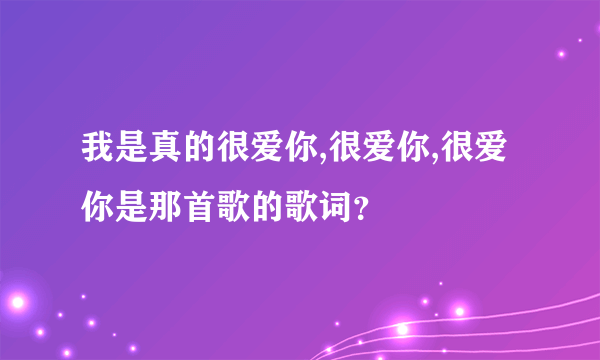 我是真的很爱你,很爱你,很爱你是那首歌的歌词？