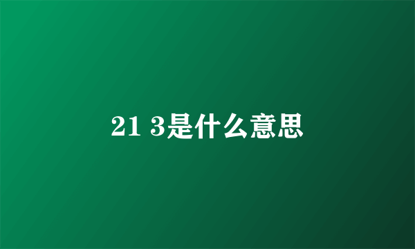 21 3是什么意思