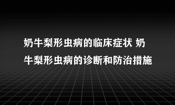 奶牛梨形虫病的临床症状 奶牛梨形虫病的诊断和防治措施