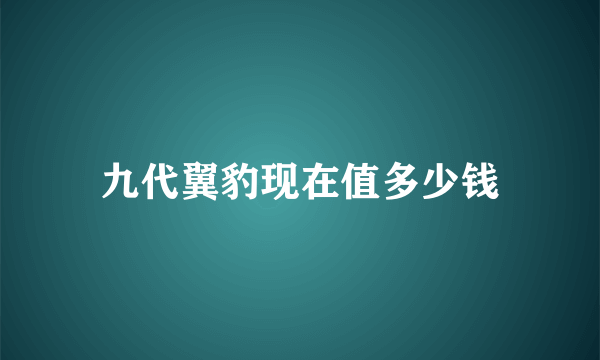 九代翼豹现在值多少钱