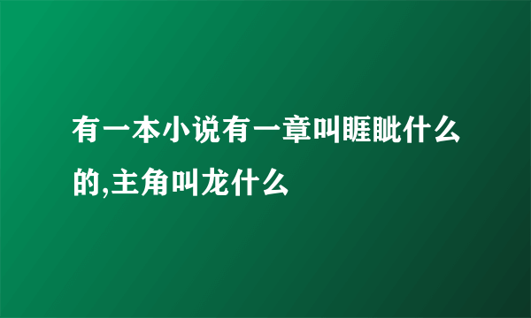 有一本小说有一章叫睚眦什么的,主角叫龙什么