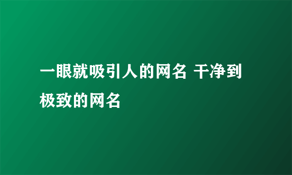 一眼就吸引人的网名 干净到极致的网名