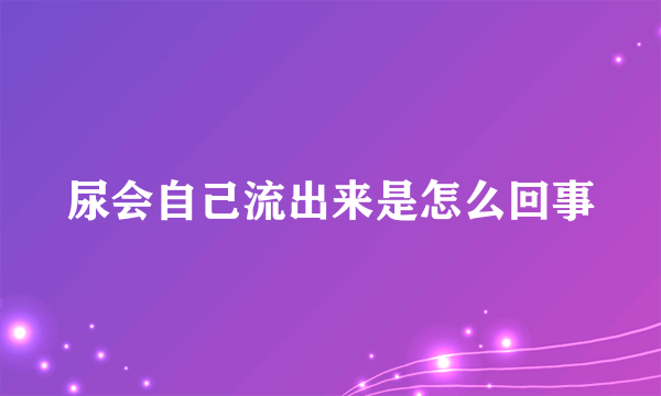 尿会自己流出来是怎么回事