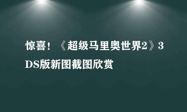 惊喜！《超级马里奥世界2》3DS版新图截图欣赏