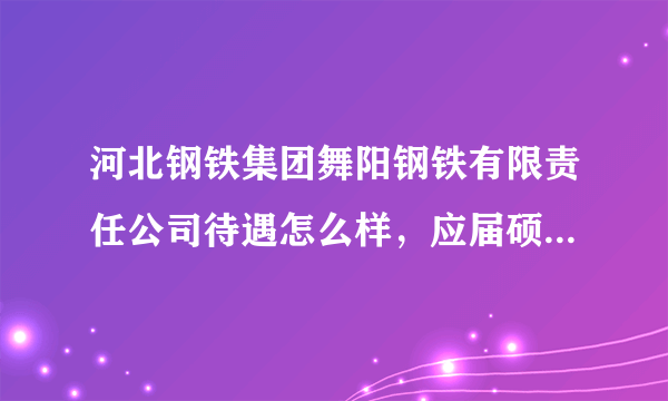 河北钢铁集团舞阳钢铁有限责任公司待遇怎么样，应届硕士有发展前途吗？谢谢解答