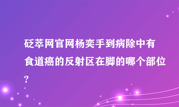 砭萃网官网杨奕手到病除中有食道癌的反射区在脚的哪个部位?