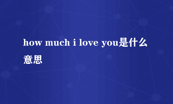 how much i love you是什么意思