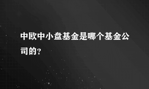 中欧中小盘基金是哪个基金公司的？