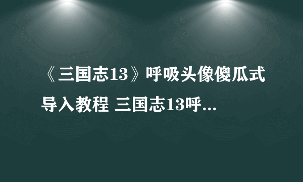 《三国志13》呼吸头像傻瓜式导入教程 三国志13呼吸头像怎么导入