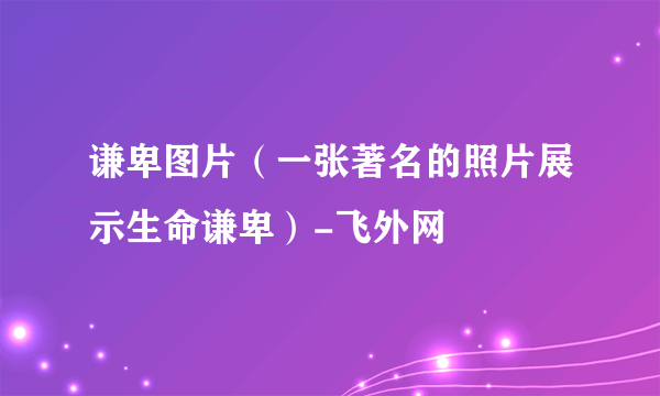 谦卑图片（一张著名的照片展示生命谦卑）-飞外网