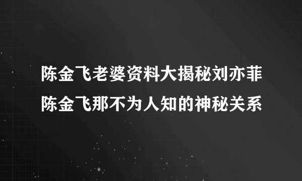 陈金飞老婆资料大揭秘刘亦菲陈金飞那不为人知的神秘关系