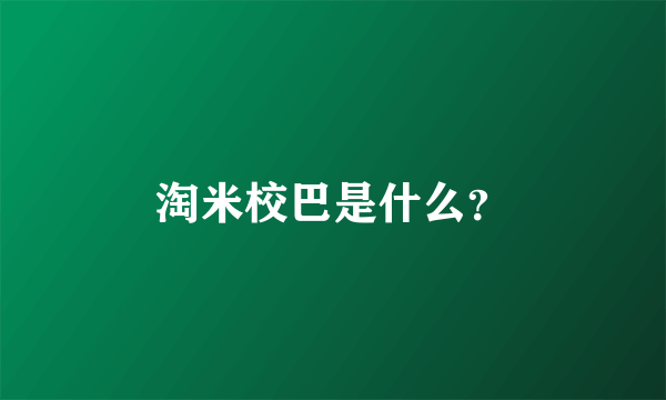 淘米校巴是什么？