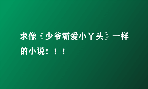 求像《少爷霸爱小丫头》一样的小说！！！