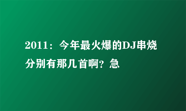 2011：今年最火爆的DJ串烧分别有那几首啊？急