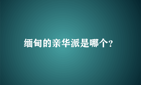 缅甸的亲华派是哪个？