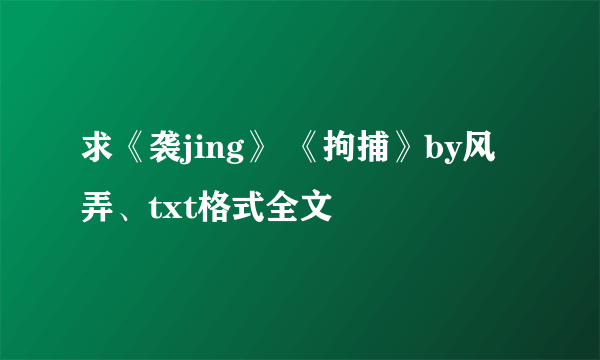 求《袭jing》 《拘捕》by风弄、txt格式全文