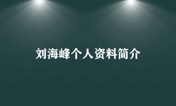 刘海峰个人资料简介