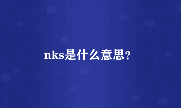 nks是什么意思？