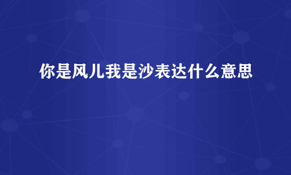 你是风儿我是沙表达什么意思