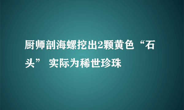 厨师剖海螺挖出2颗黄色“石头” 实际为稀世珍珠