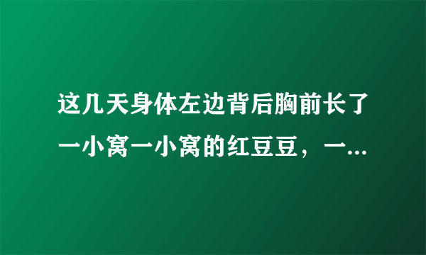 这几天身体左边背后胸前长了一小窝一小窝的红豆豆，一...