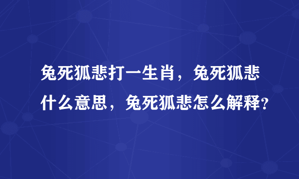 兔死狐悲打一生肖，兔死狐悲什么意思，兔死狐悲怎么解释？