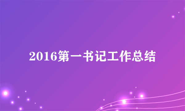 2016第一书记工作总结