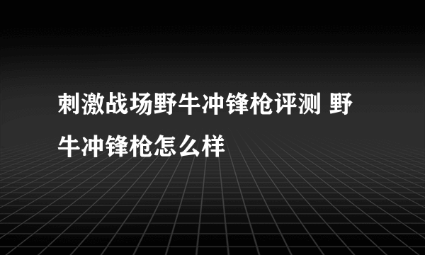 刺激战场野牛冲锋枪评测 野牛冲锋枪怎么样