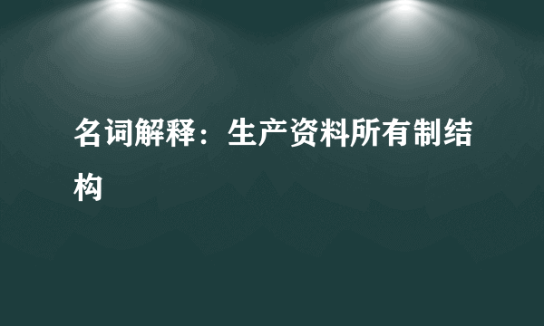 名词解释：生产资料所有制结构