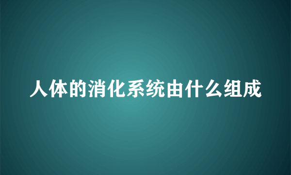 人体的消化系统由什么组成