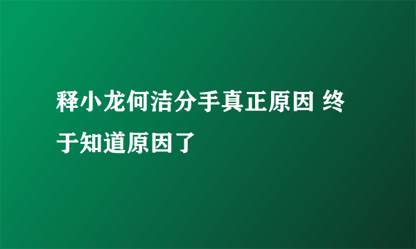 释小龙何洁分手真正原因 终于知道原因了