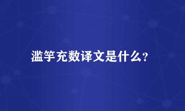 滥竽充数译文是什么？