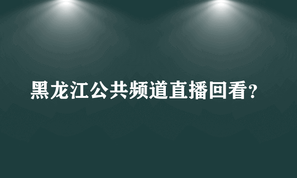 黑龙江公共频道直播回看？