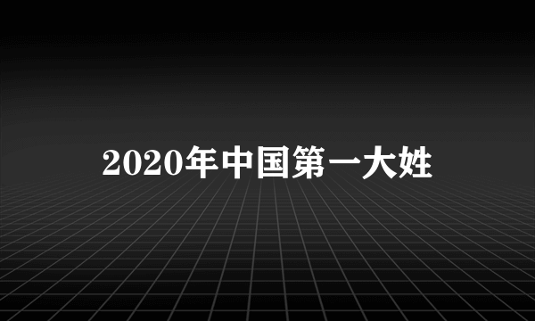 2020年中国第一大姓