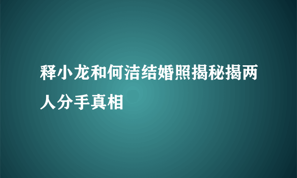 释小龙和何洁结婚照揭秘揭两人分手真相