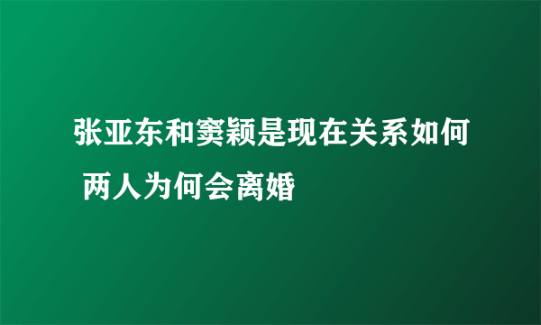 张亚东和窦颖是现在关系如何 两人为何会离婚