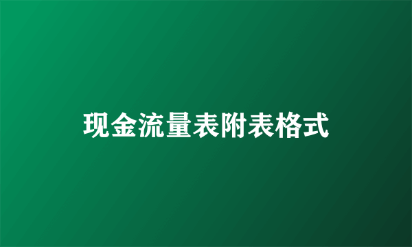 现金流量表附表格式