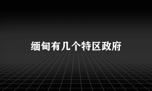 缅甸有几个特区政府