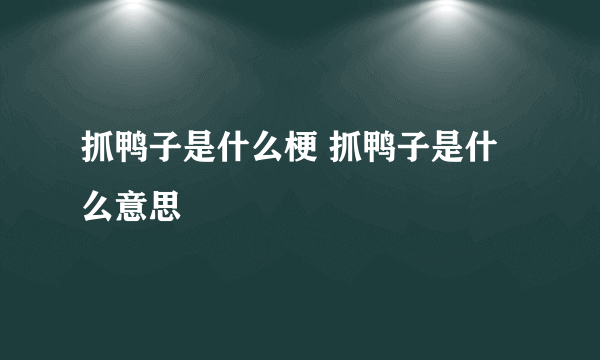 抓鸭子是什么梗 抓鸭子是什么意思