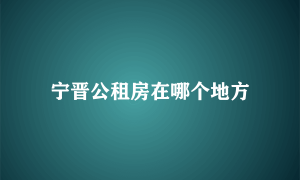 宁晋公租房在哪个地方