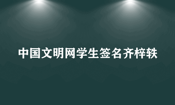 中国文明网学生签名齐梓轶