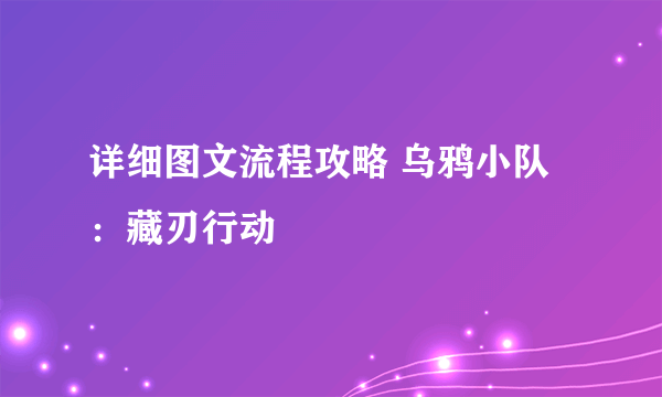 详细图文流程攻略 乌鸦小队：藏刃行动