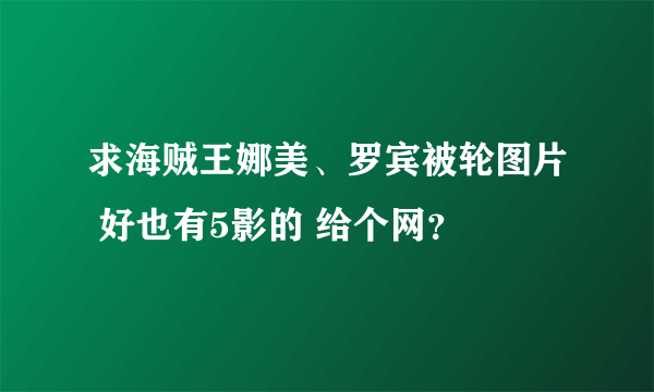 求海贼王娜美、罗宾被轮图片 好也有5影的 给个网？