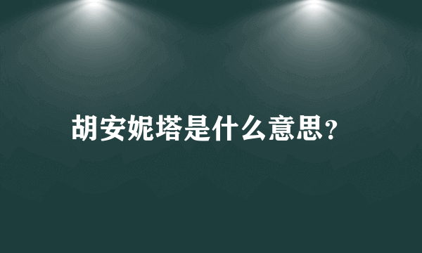 胡安妮塔是什么意思？